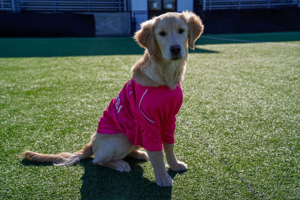 Capelli Breast Cancer Warm Up Jersey