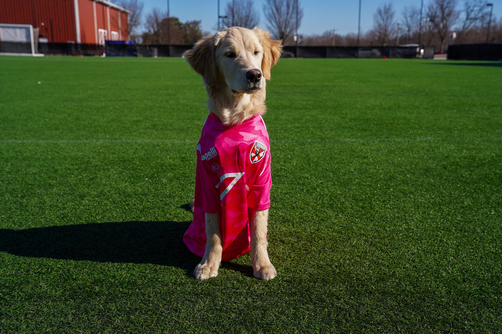 Capelli Breast Cancer Warm Up Jersey