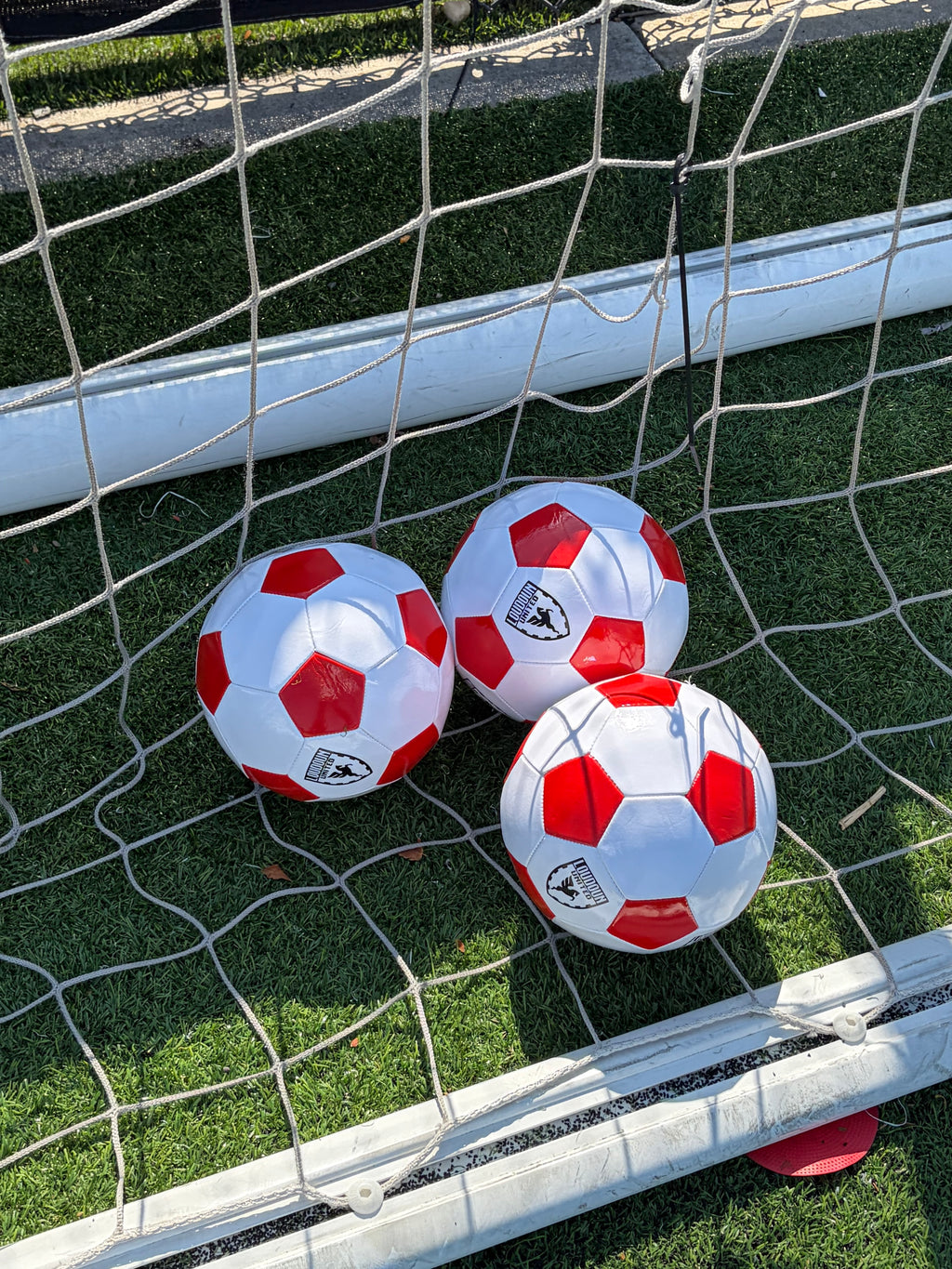 Loudoun United FC Soccer Ball
