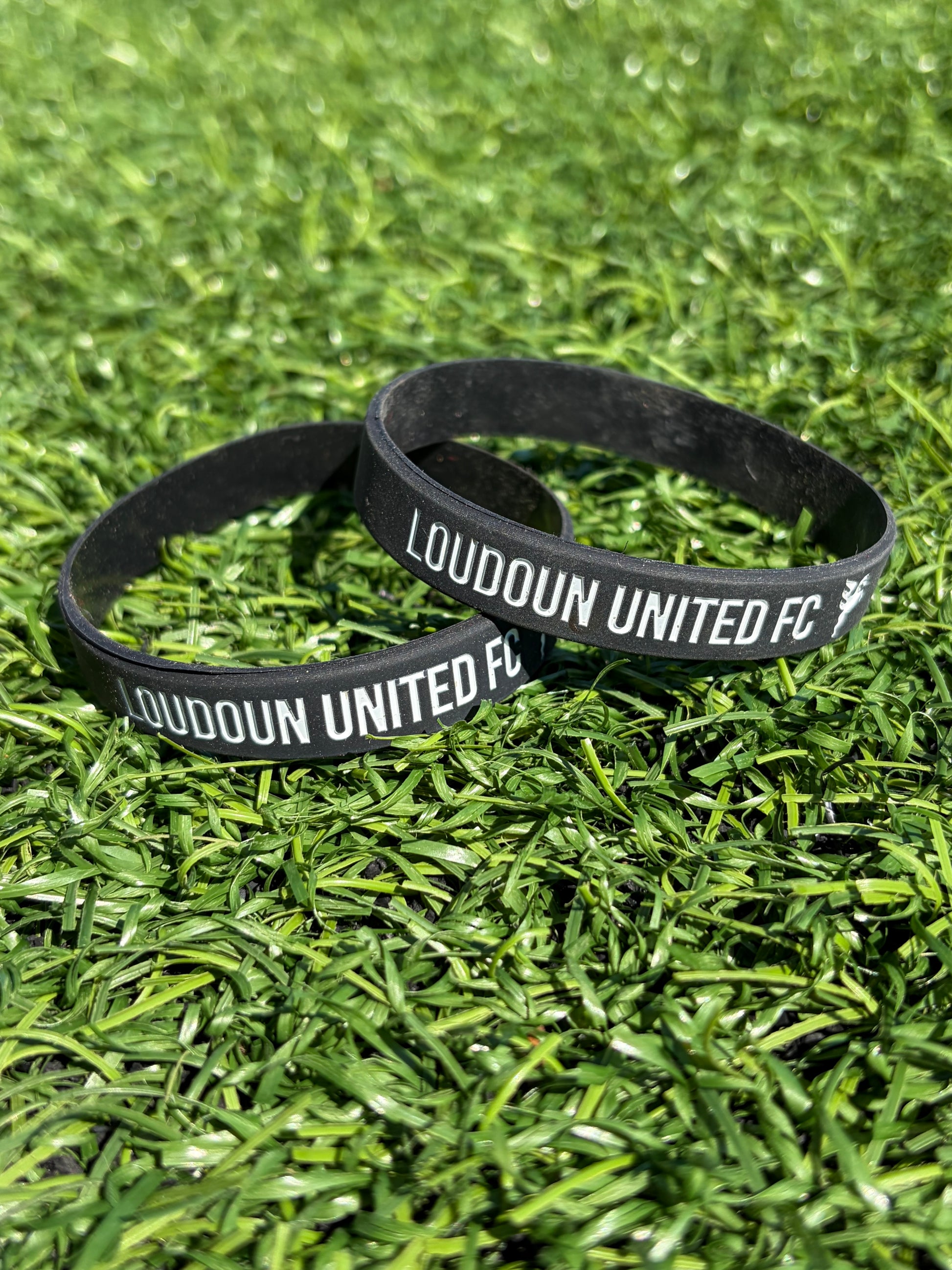 Wristband