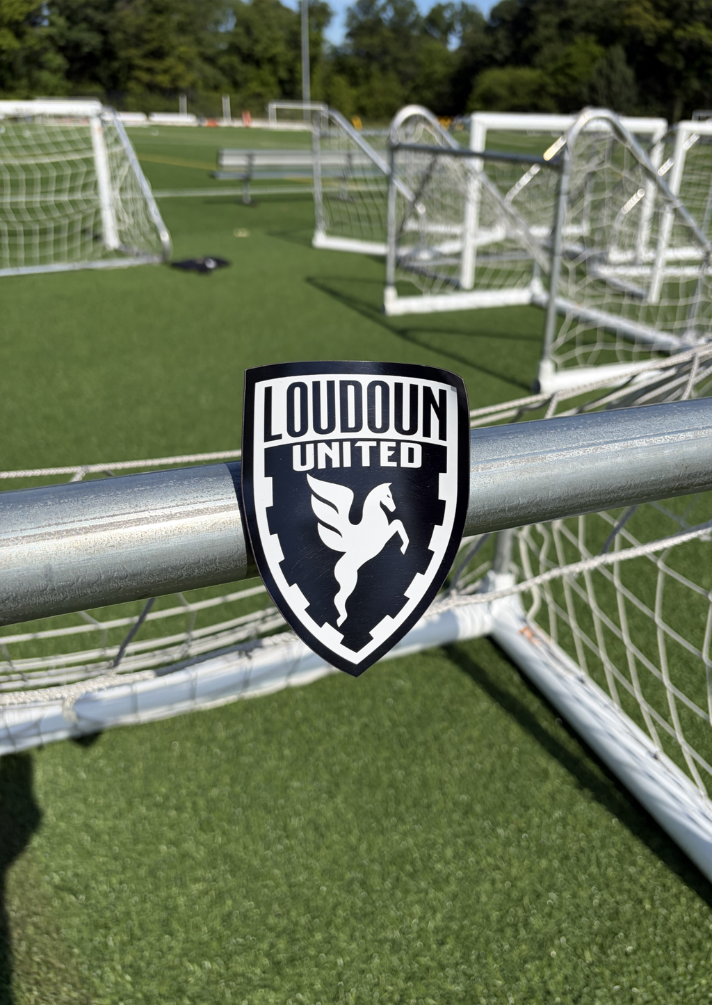 Black Crest Magnet