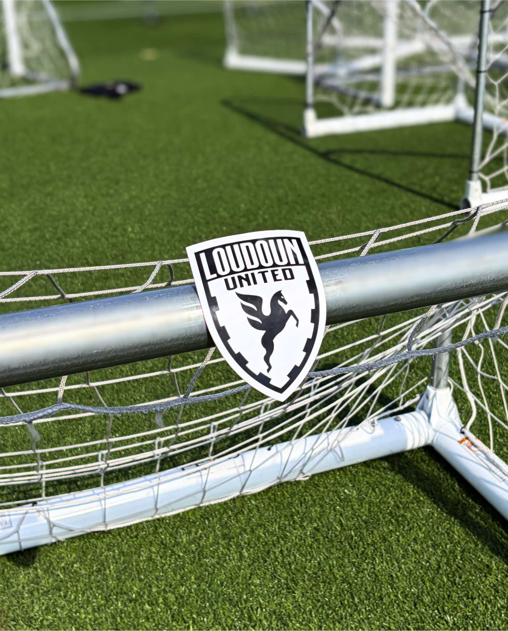 White Crest Magnet